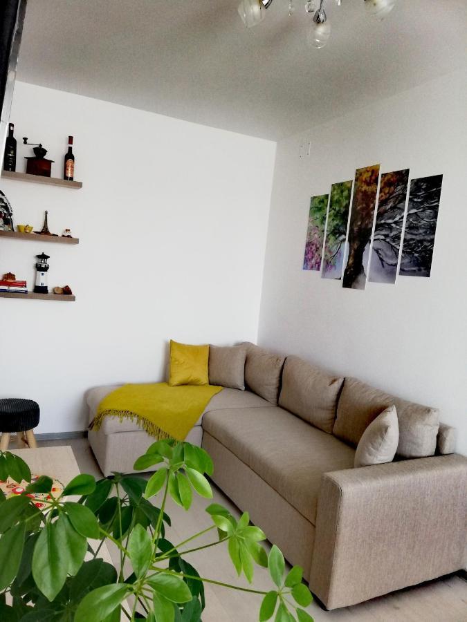 Apartament Raluca Topliţa Exteriör bild