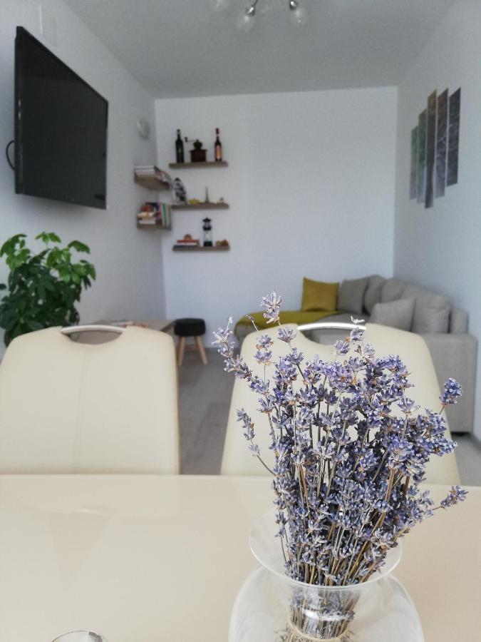 Apartament Raluca Topliţa Exteriör bild